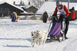 Lenk 2012 SM